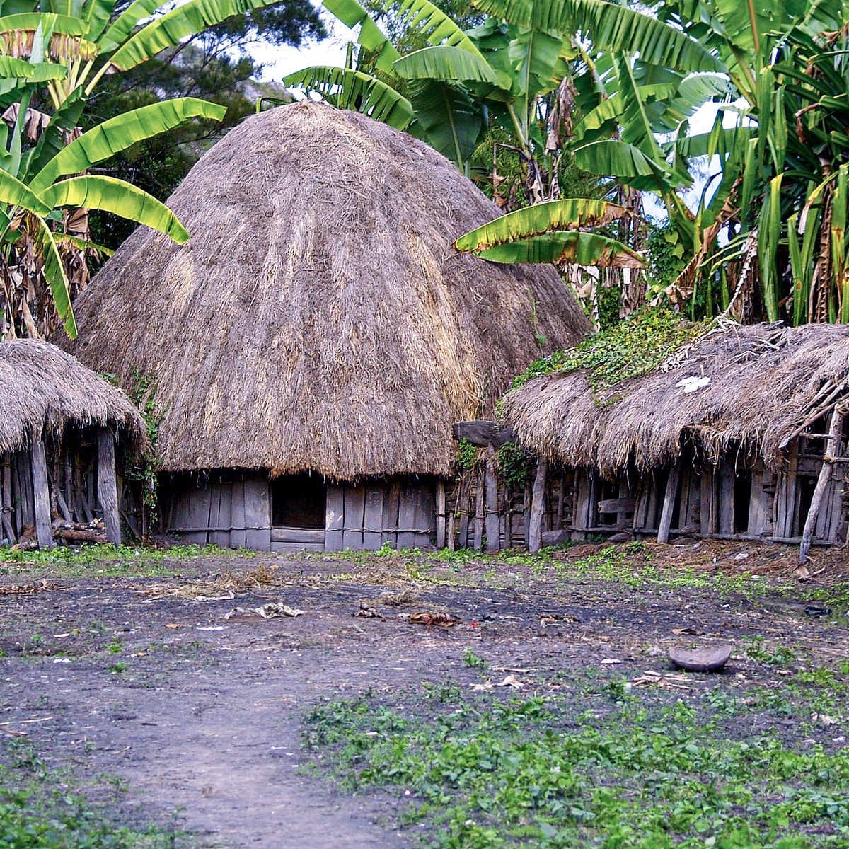 Baliem Valley: Home of the Dani Tribe