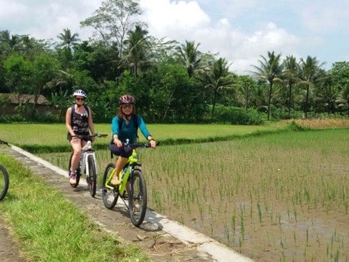 Borobudur Homestay Village: Towards more Sustainable Community-Based Tourism