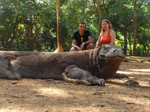 Indonesia’s Komodo National Park among World’s Top Ten Destinations: National Geographic