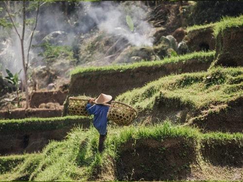 LES MAGNIFIQUES RIZIÈRES DE JATILUWIH - BEAUTÉ ET GÉNIE LOCAL DE BALI