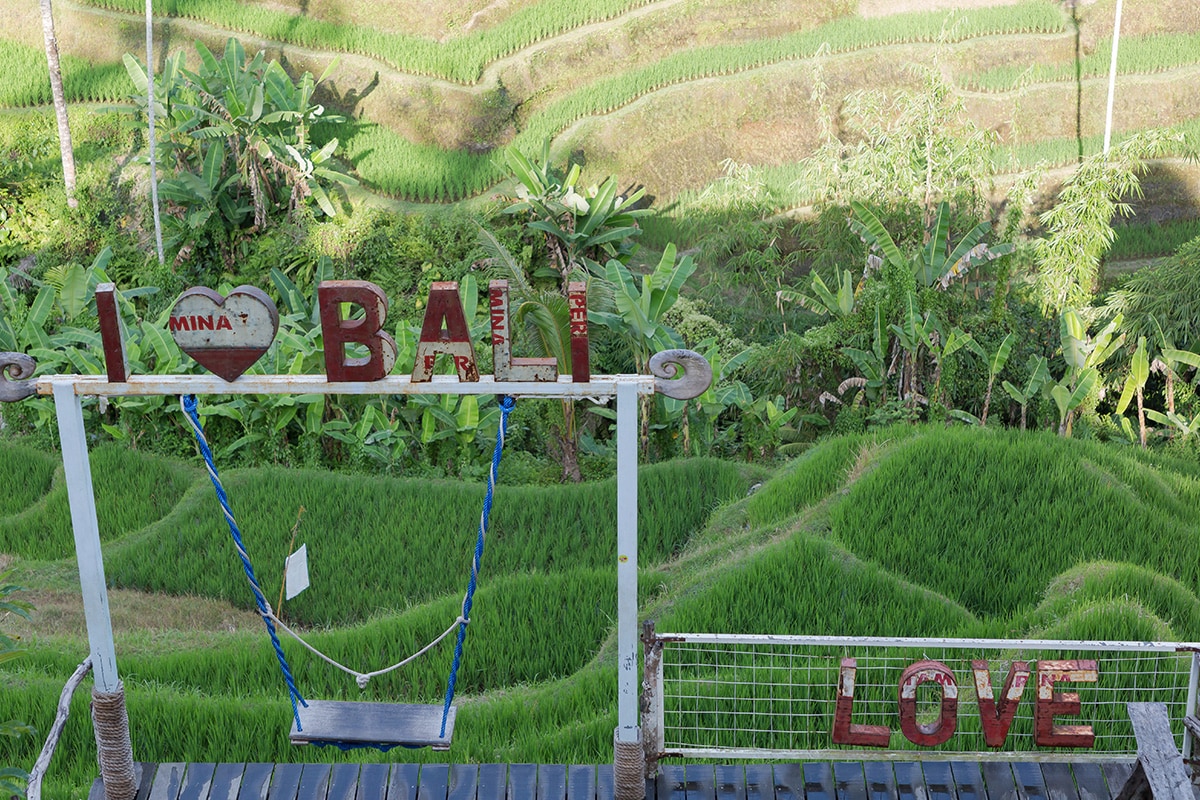 the Love Bali sign in Tegallalang Rice Fields