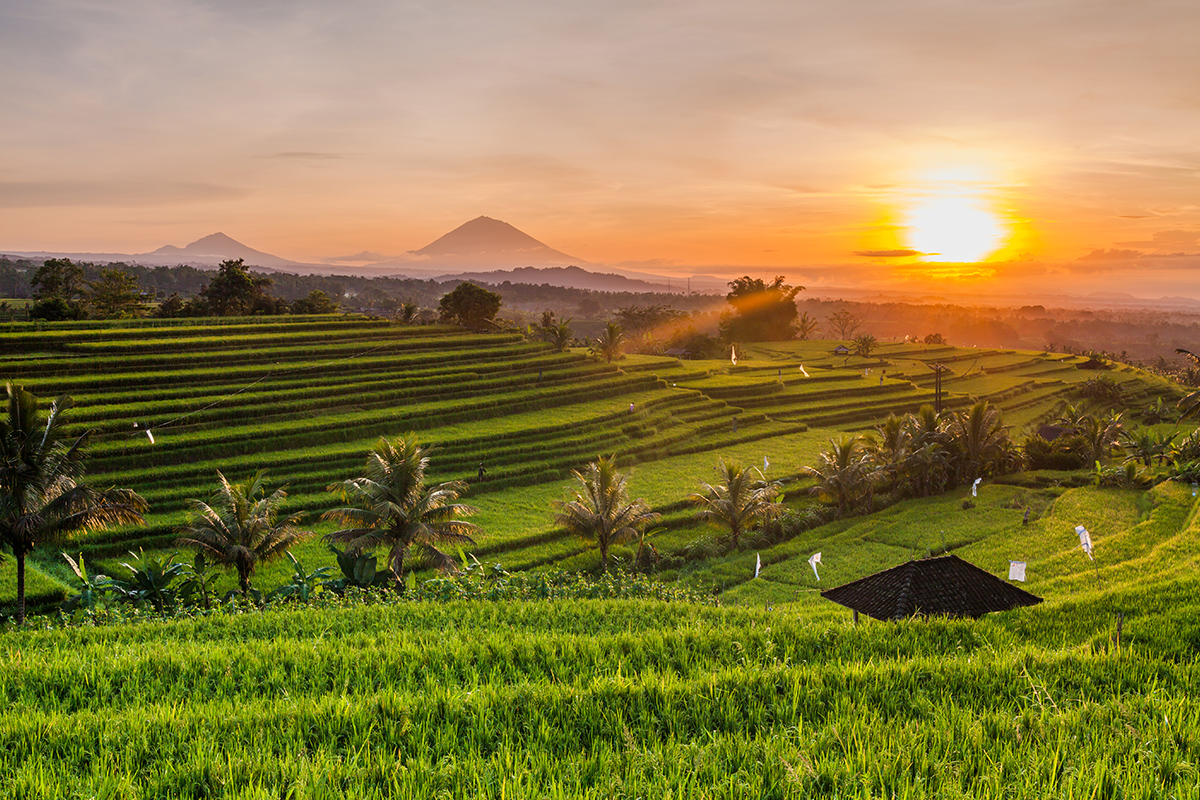 How about a holiday in Ubud? Catch a glimpse here! - Indonesia Travel