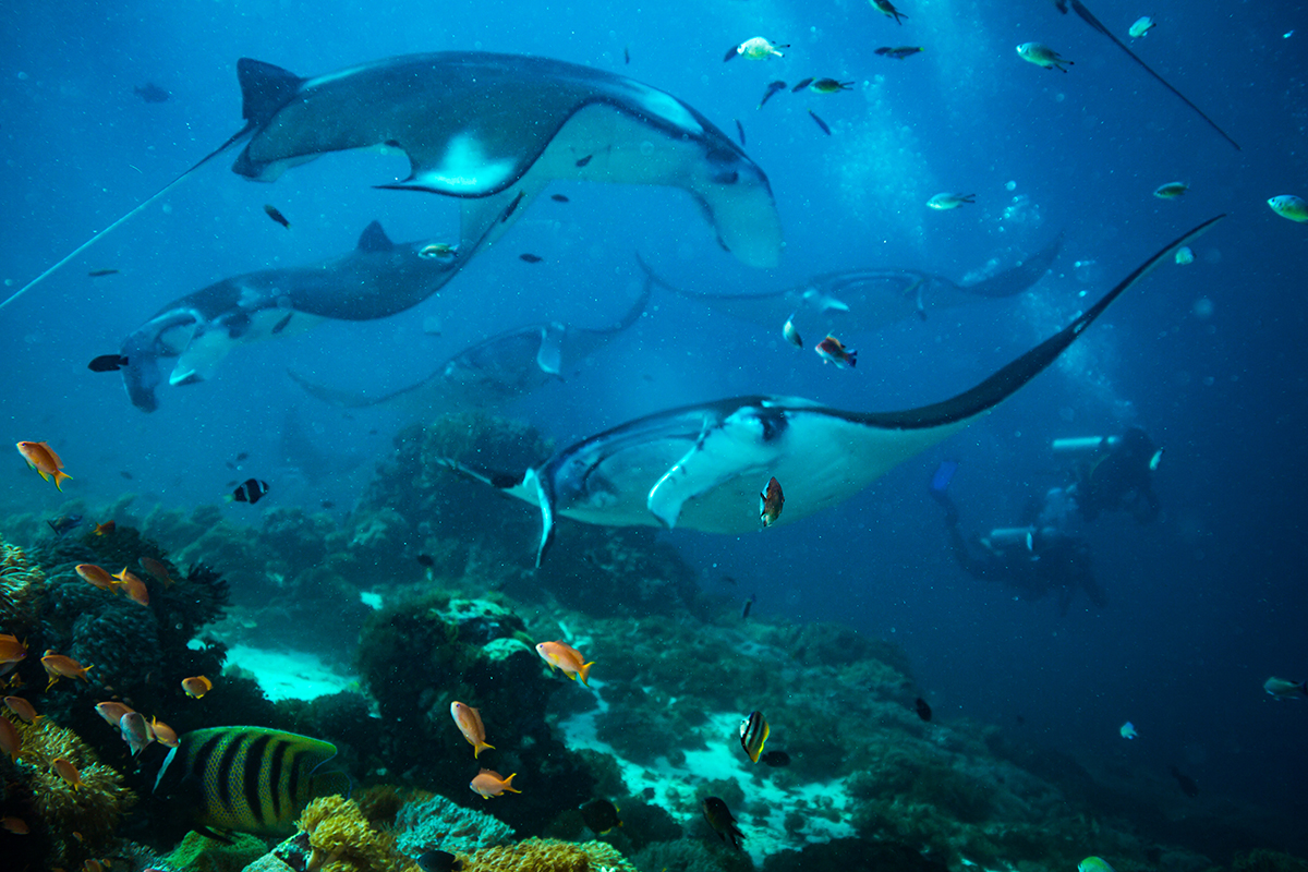 Komodo National Park