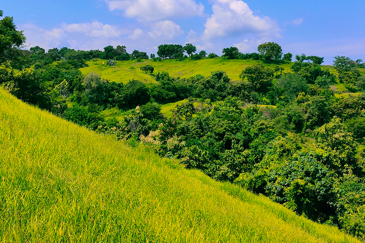 a view of Teletubbies Hill in Nusa Penida