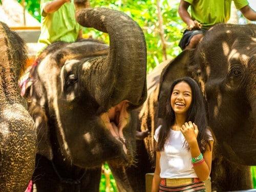 LOMBOK ELEPHANT PARK : A NEW SANCTUARY FOR THESE GENTLE GIANTS