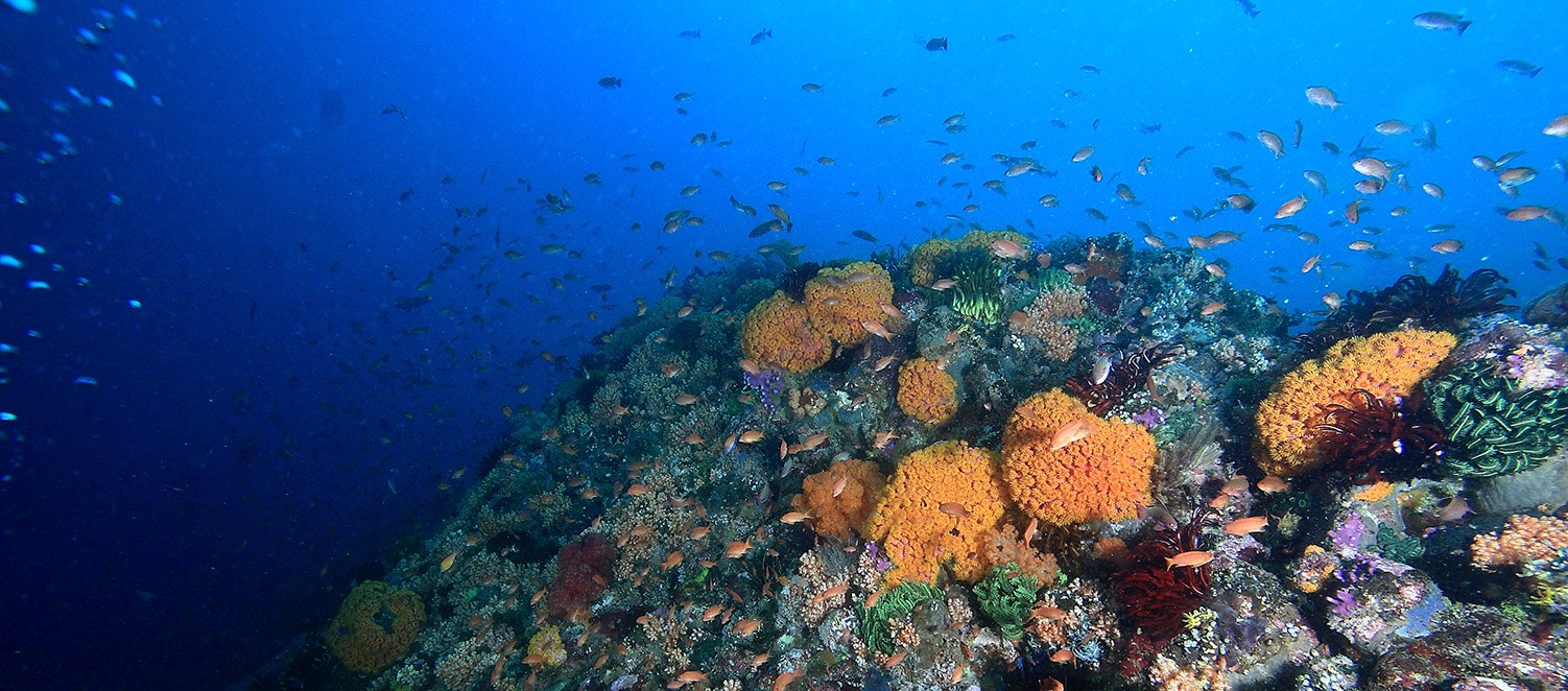 Les îles de Gili