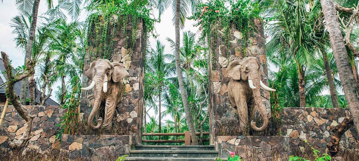Le Parc Des Éléphants De Lombok