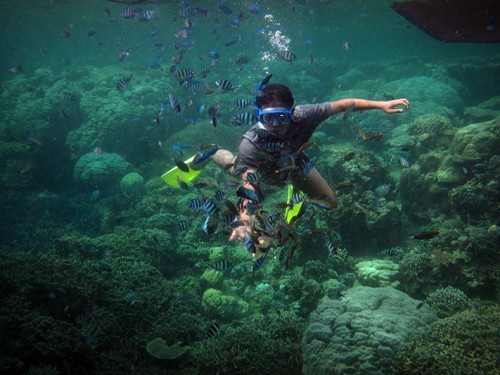 Karimunjawa Marine National Park: Idyllic Paradise in the Java Sea