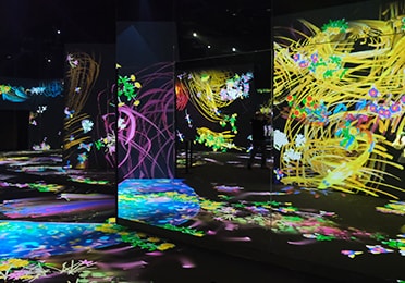 TeamLab Future Park Installation, Enjoy the Digital Art Gallery Experience