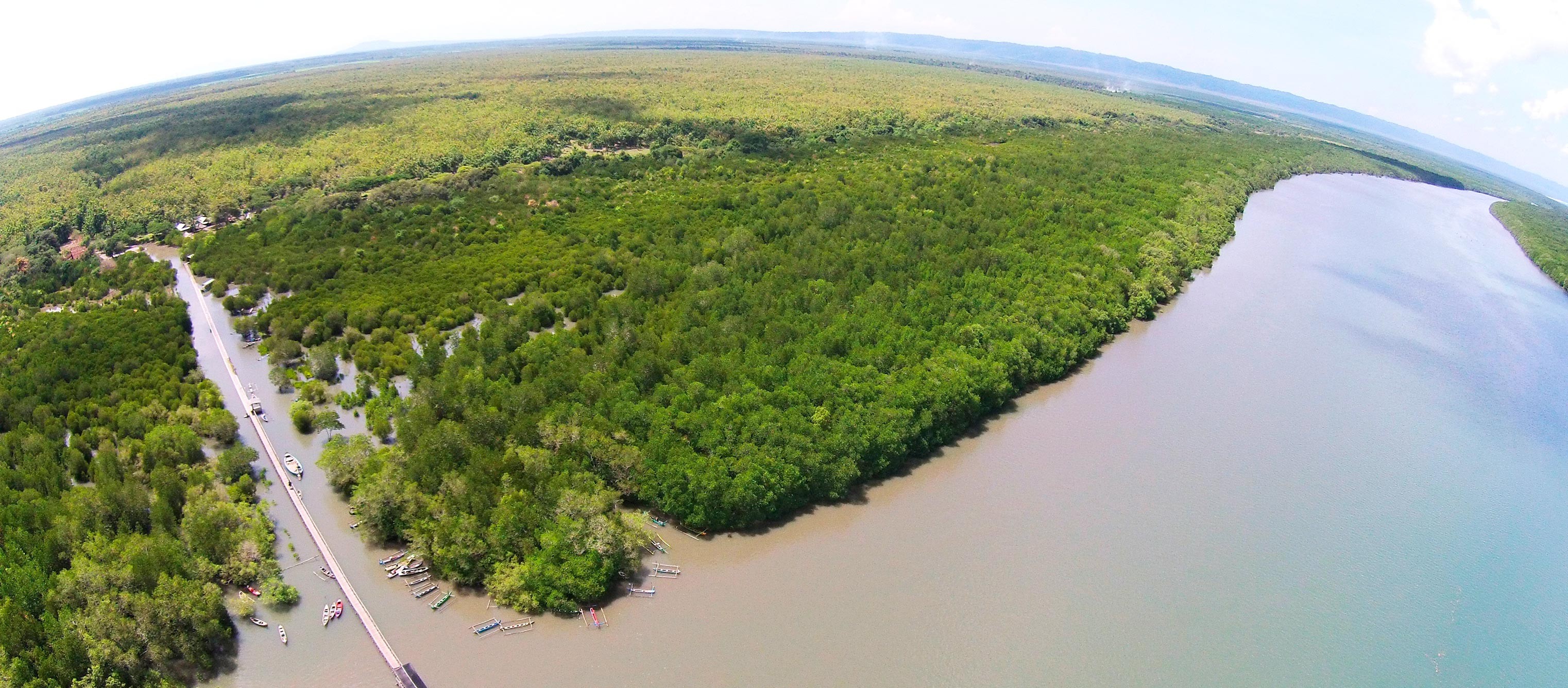 Alas Purwo National Park