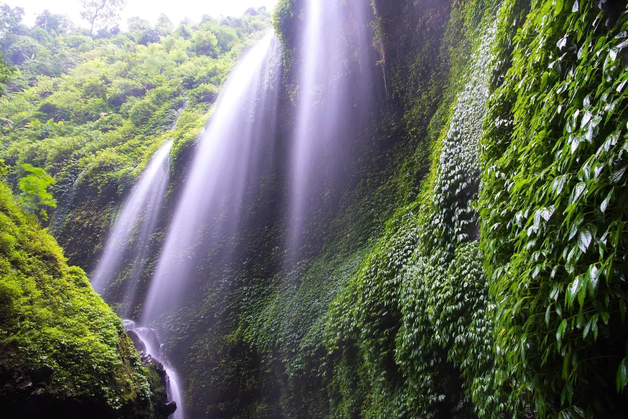 Madakaripura瀑布