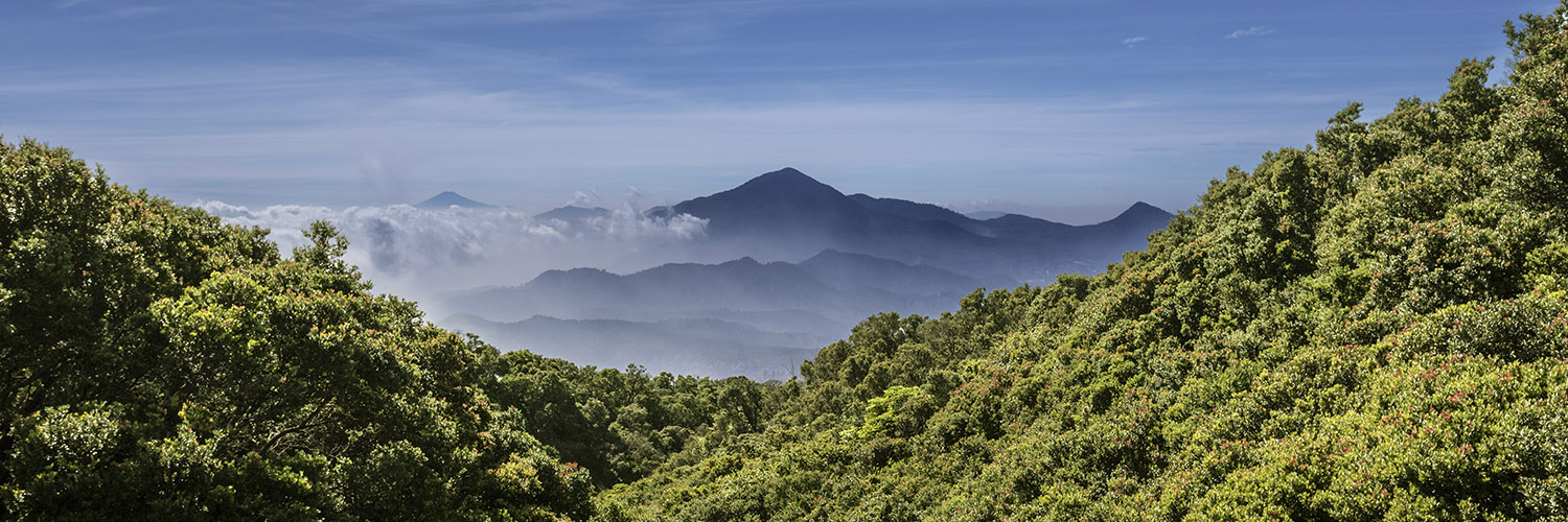 Lembang, A Mountainous Getaway from the Hectic Urban Life