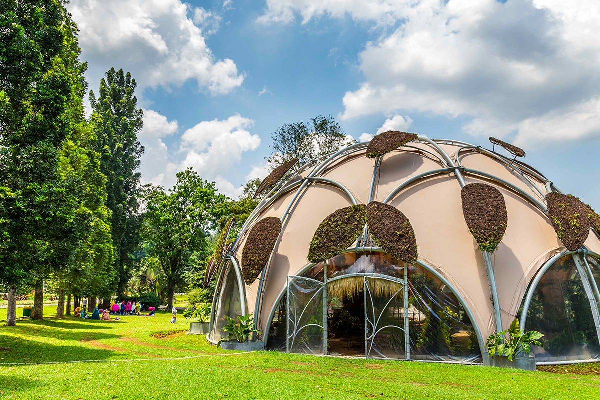 kebun raya bogor