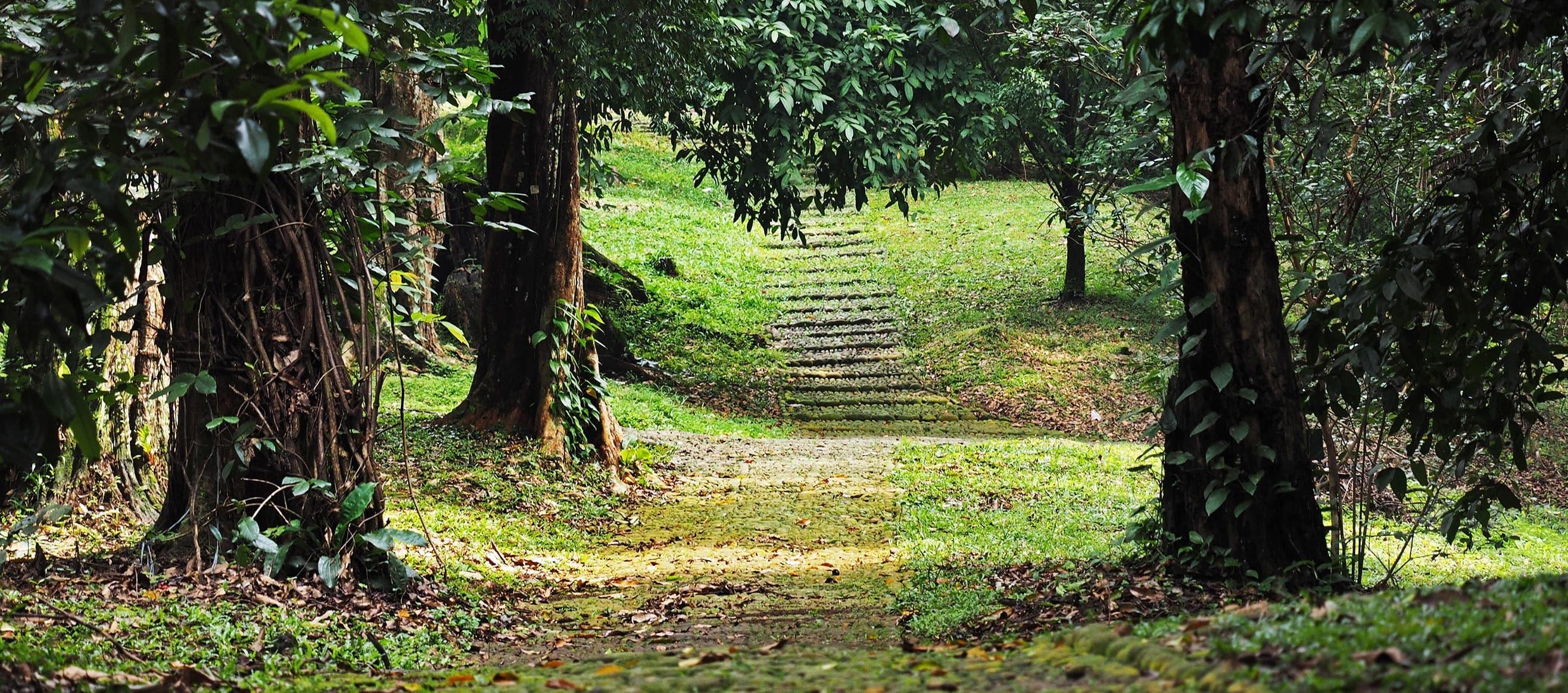 Kebun Raya Bogor 植物园 （茂物植物园）