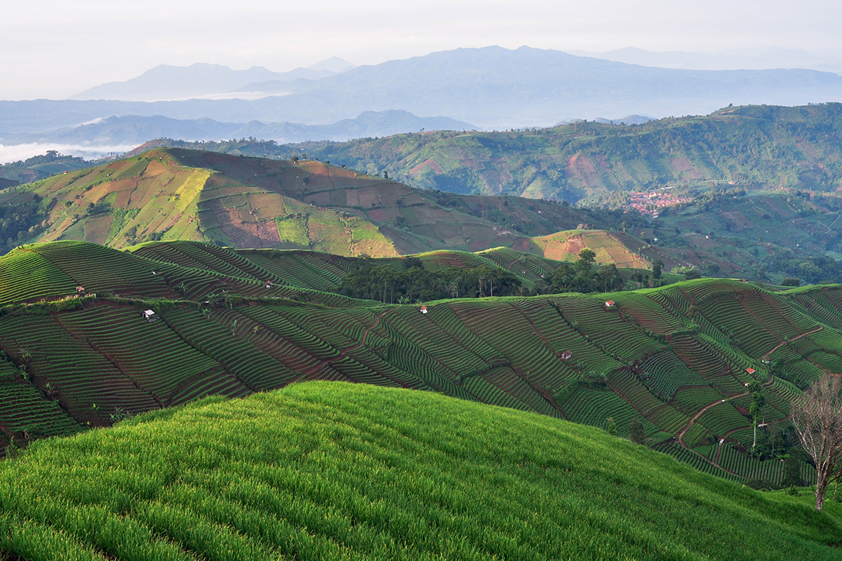 tourism in west java