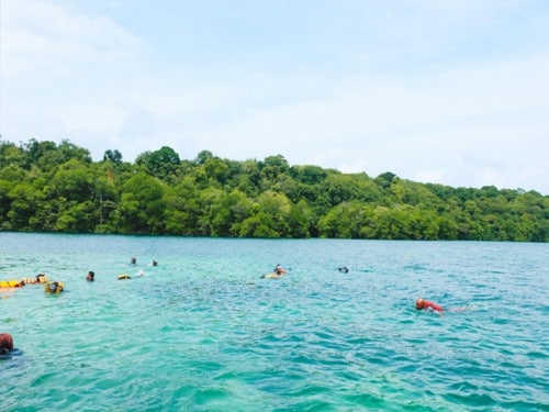 카카반 섬:  침이 없는 해파리들과 즐기는 수영