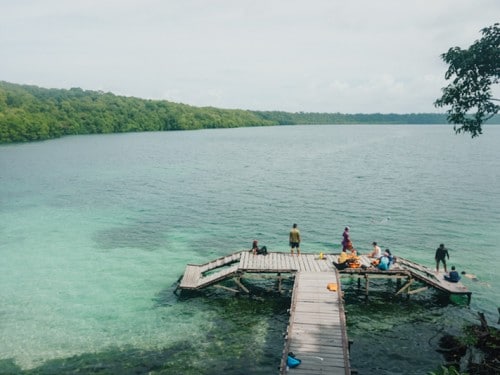 카카반 섬:  침이 없는 해파리들과 즐기는 수영