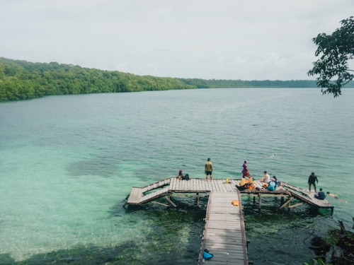 Kakaban Island: Come Swim among Stingless Jellyfish