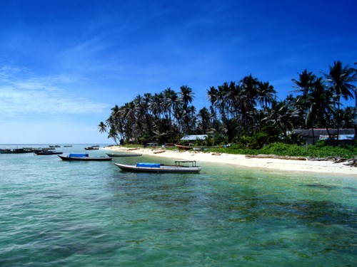 Kakaban Island: Come Swim among Stingless Jellyfish