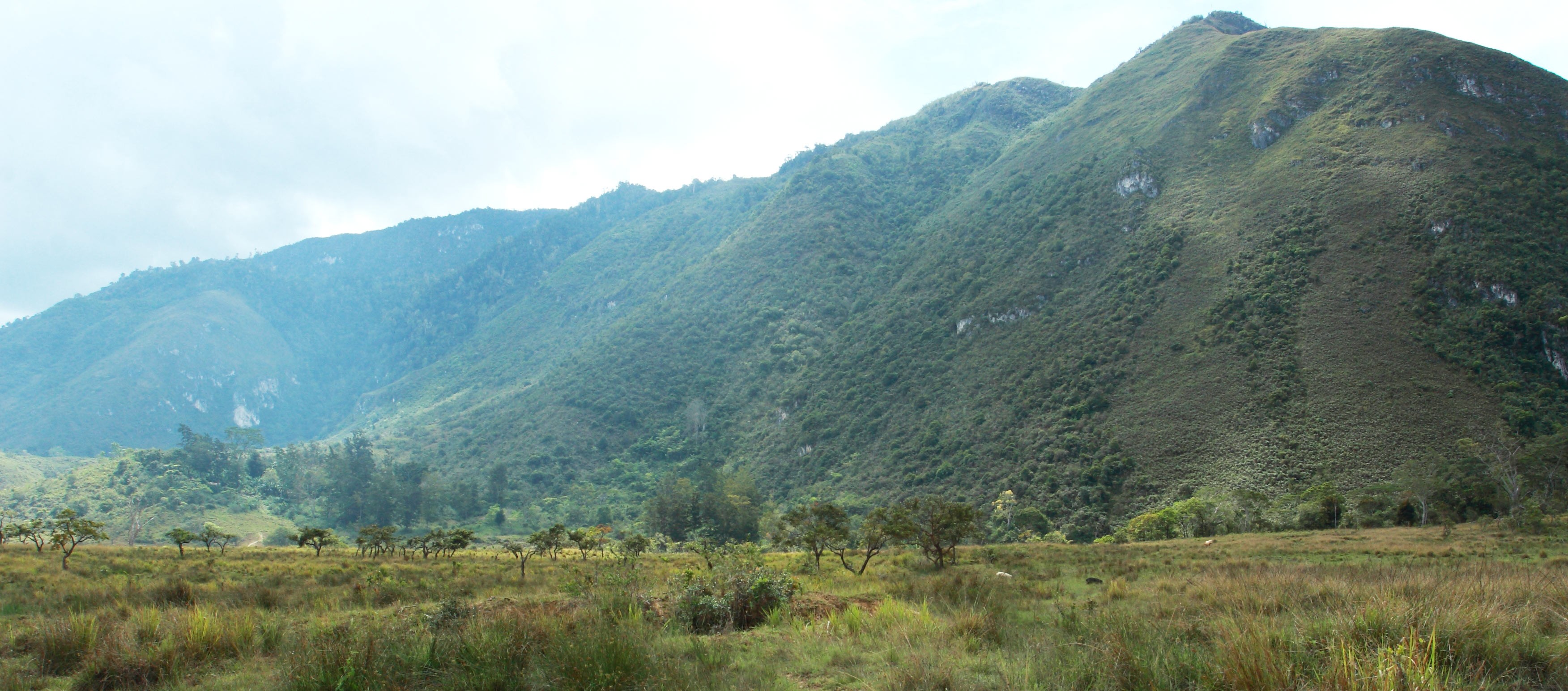 La Vallée de Baliem