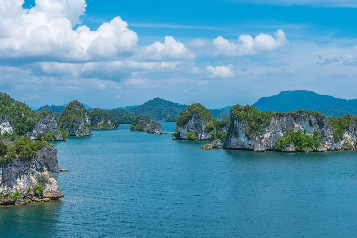 Do not miss these PIECES OF PARADISE at the Incredible RAJA AMPAT ISLANDS