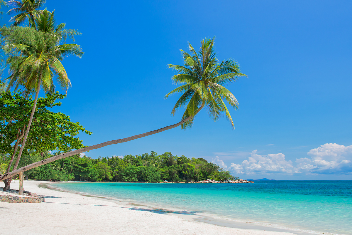bintan