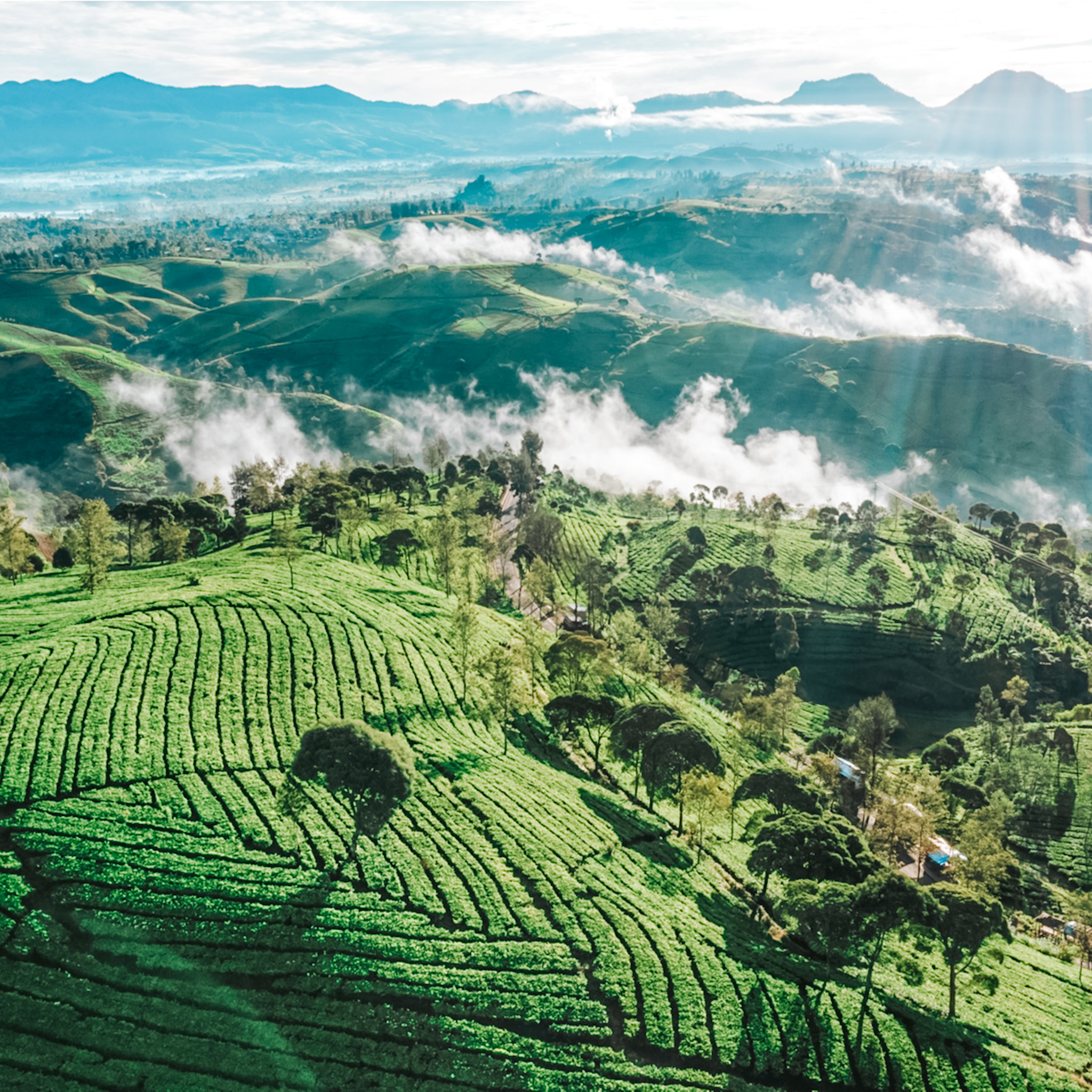 반둥  - Indonesia Travel