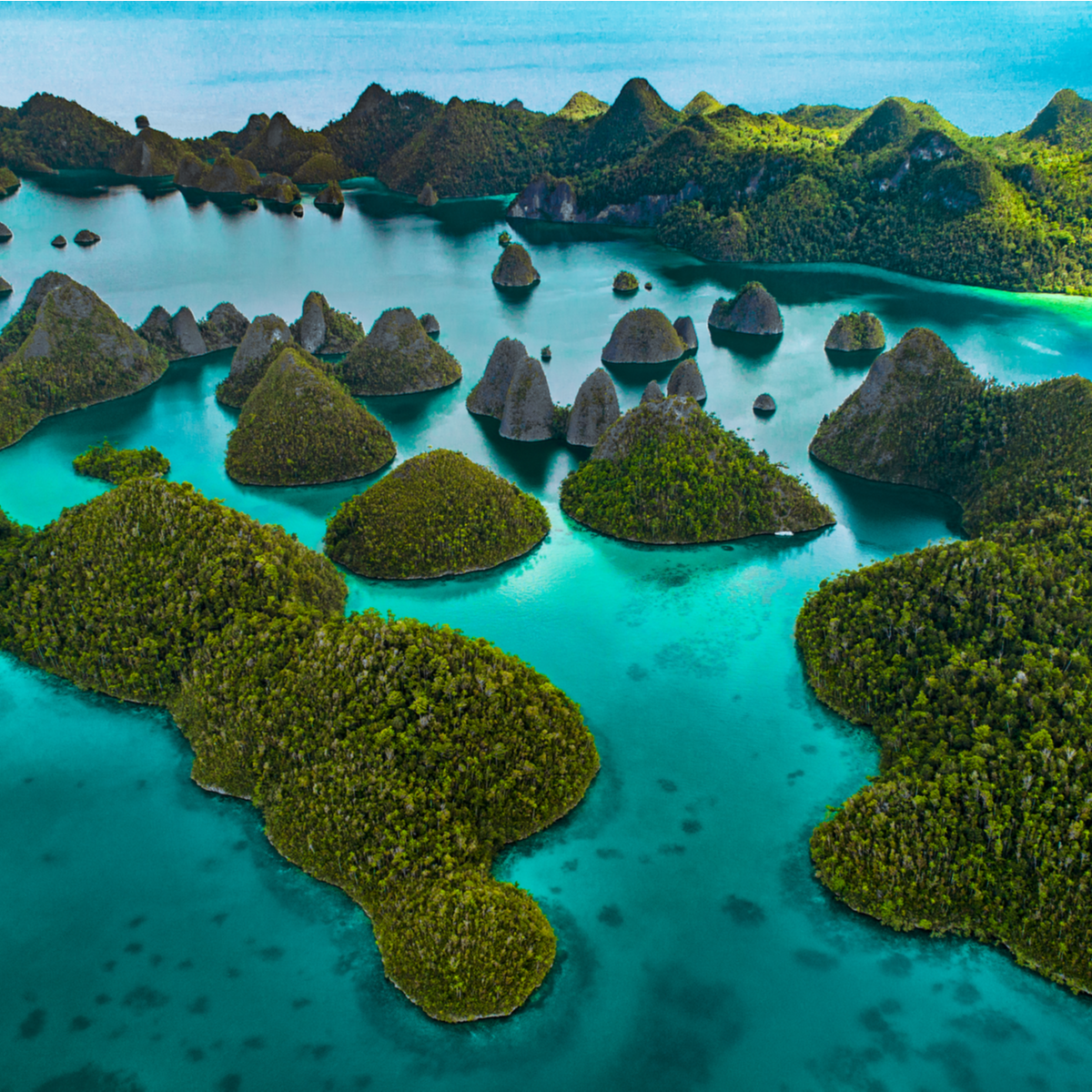 raja ampat paradise tour