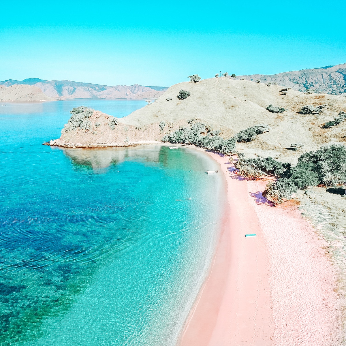 科莫多岛浪漫的粉红海滩