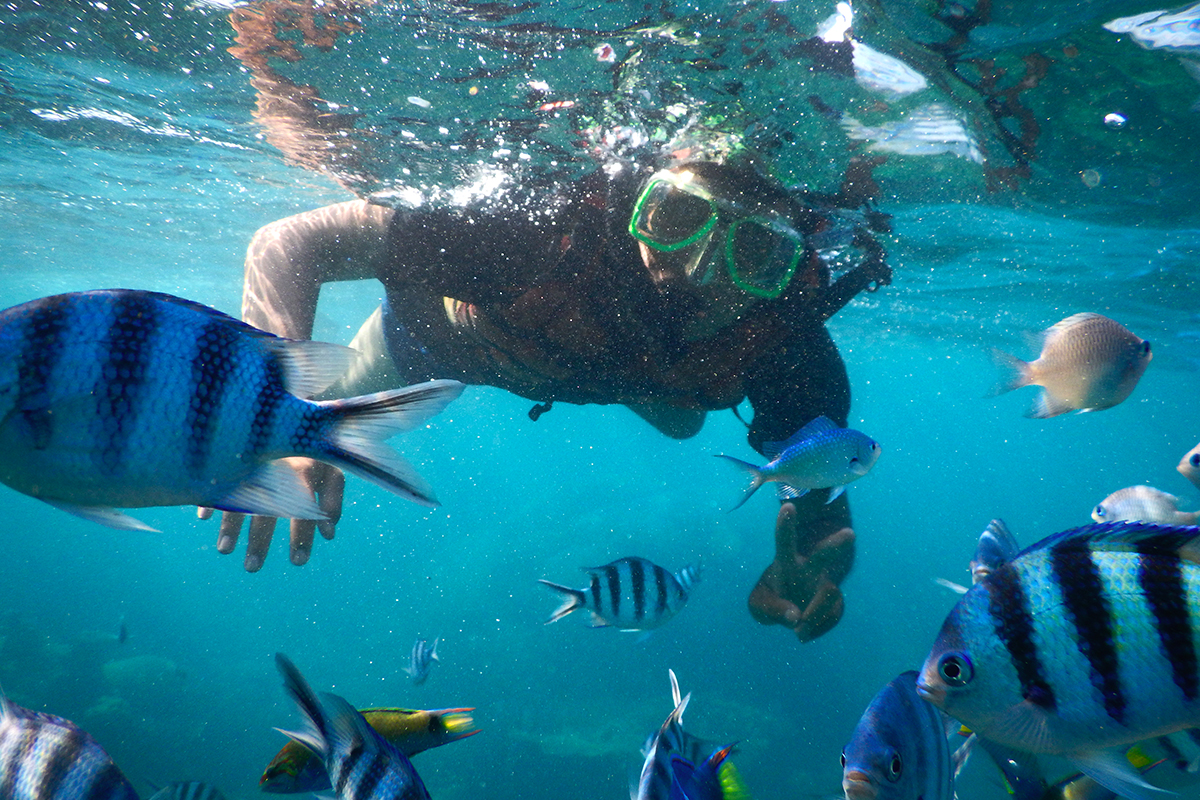 karimunjawa tanpa trip