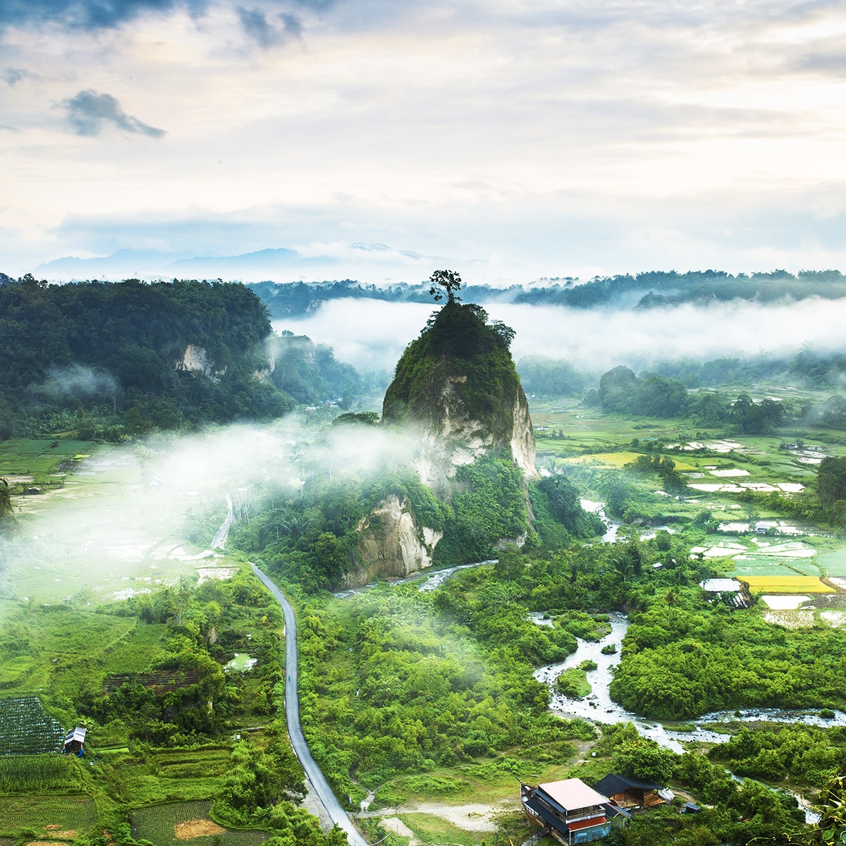 Ngarai Sianok: West Sumatra's Breathtaking Beauty