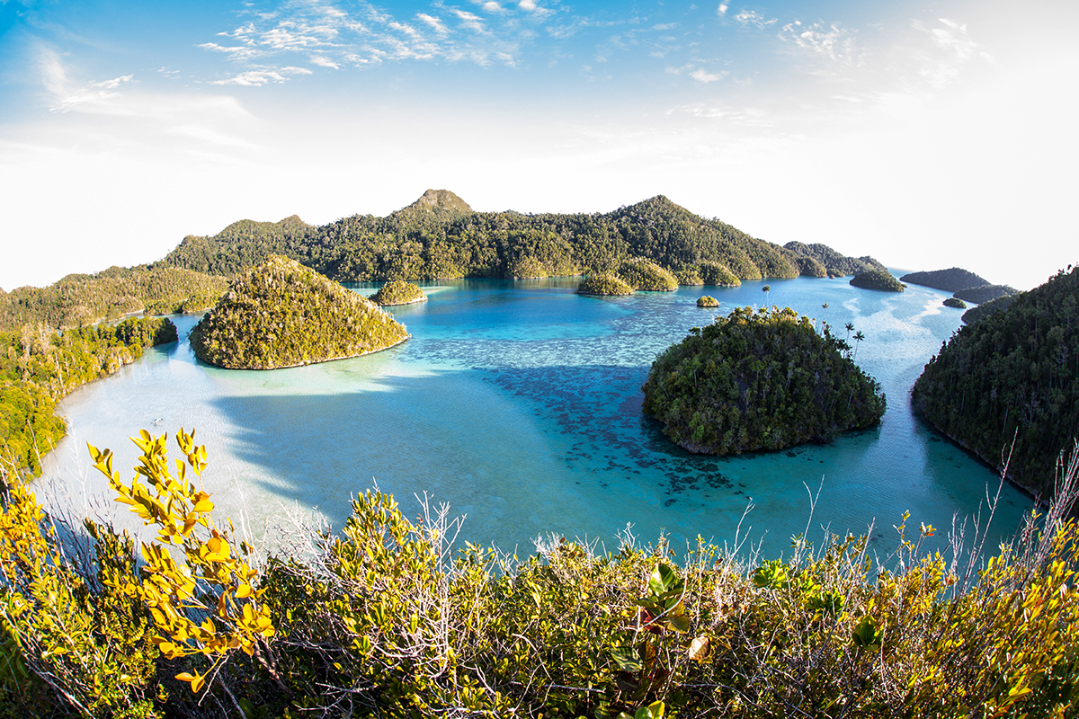 The Ultimate Pristine Paradise in West Papua