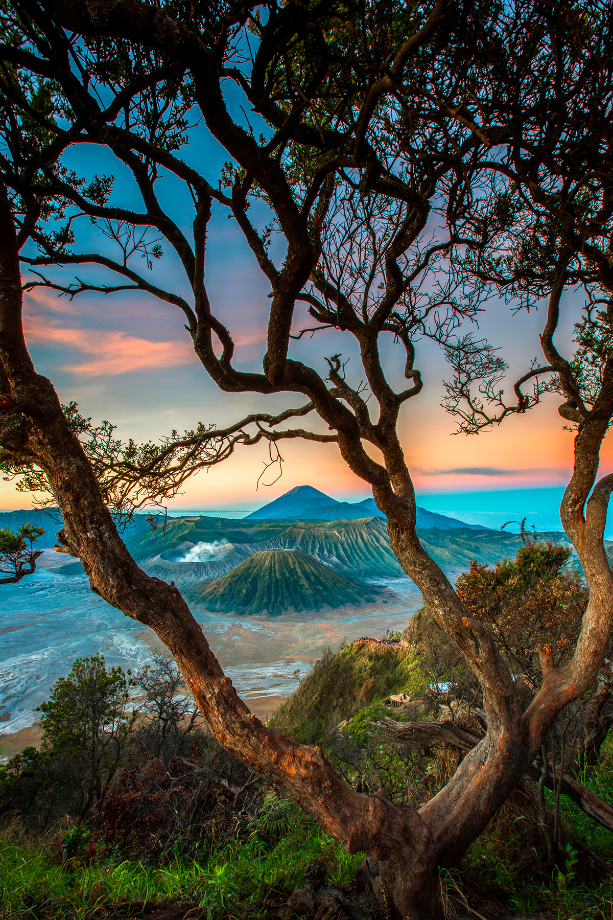 bromo