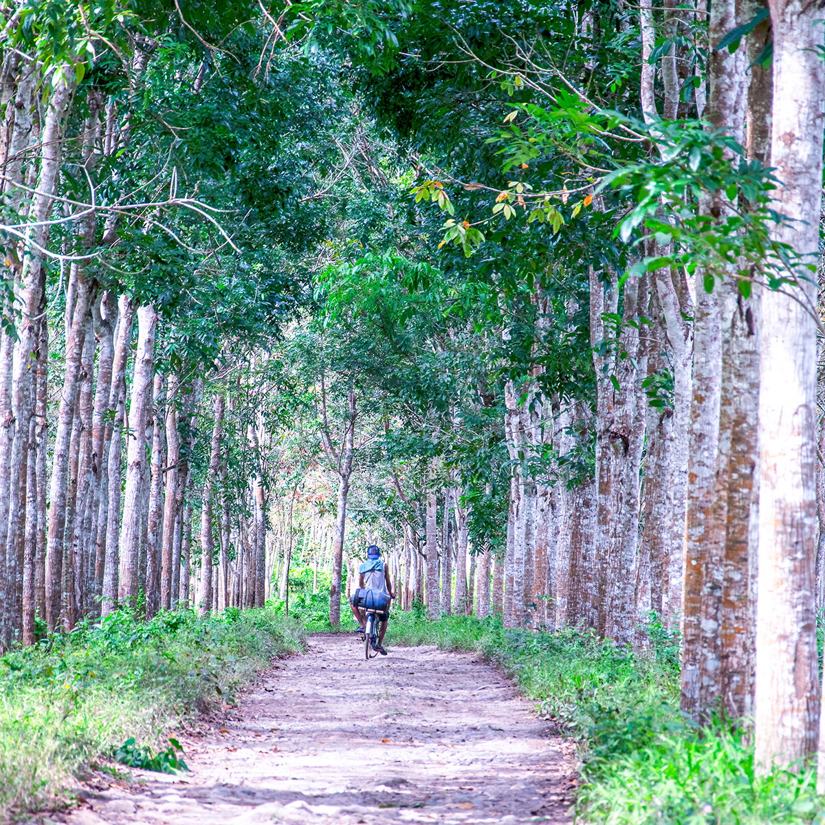 Meru Betiri National Park