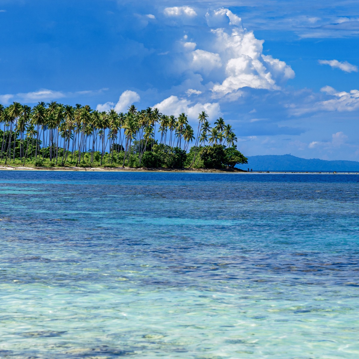 Poso: Ancient Beauty of Lake Poso