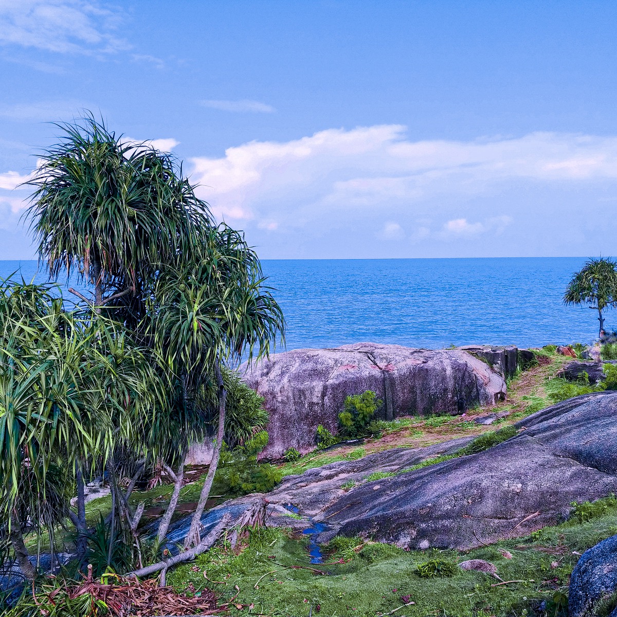 Pulau Tikus: Small Island, Great Fun in Bengkulu