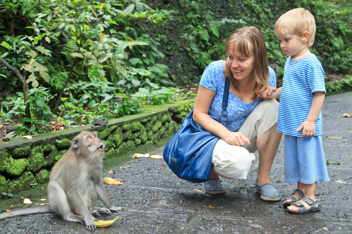 Find Serenity in Ubud, Bali