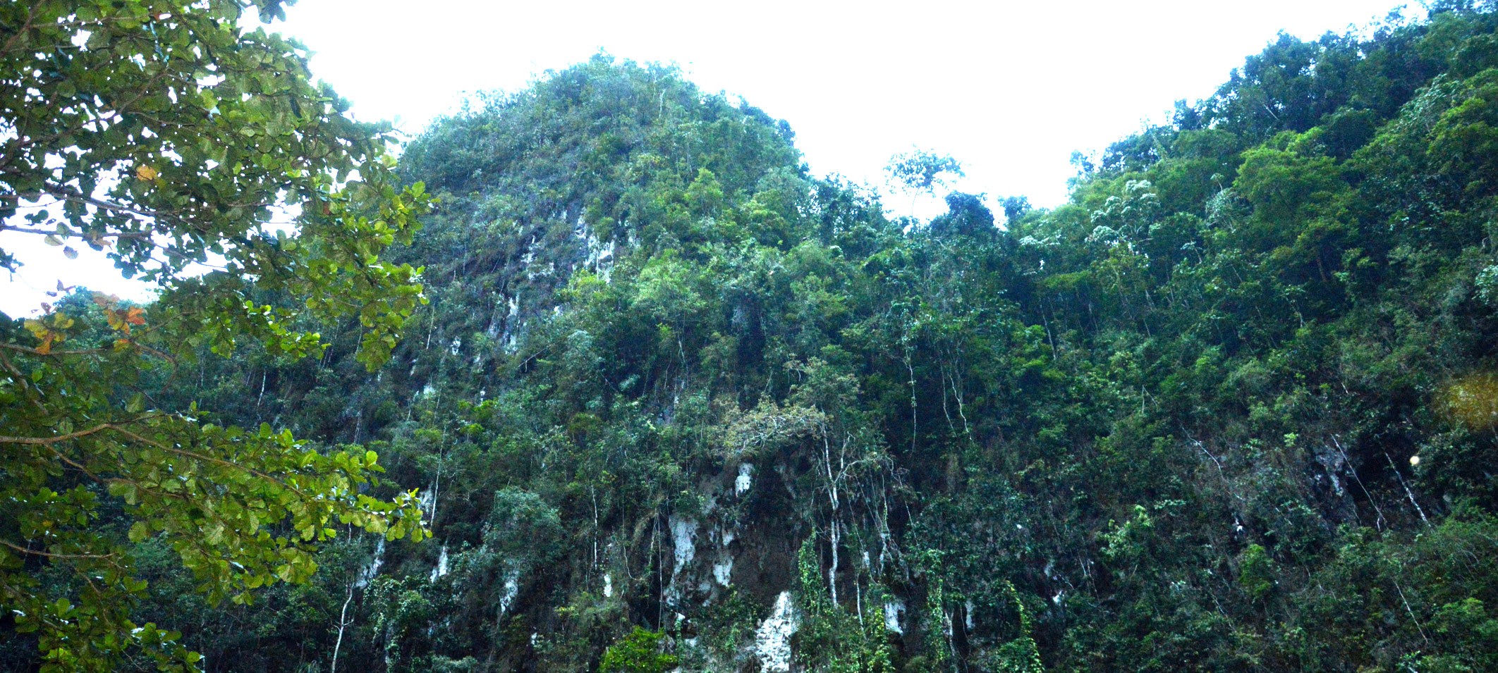 Bantimurung Bulusaraung National Park