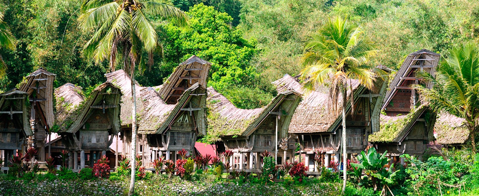 Tana Toraja