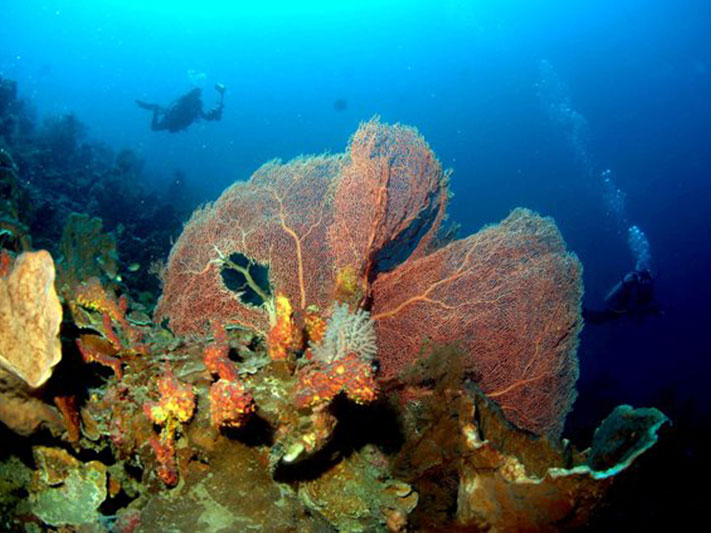 Verlieben Sie sich wieder auf Pulo Cinta in Gorontalo