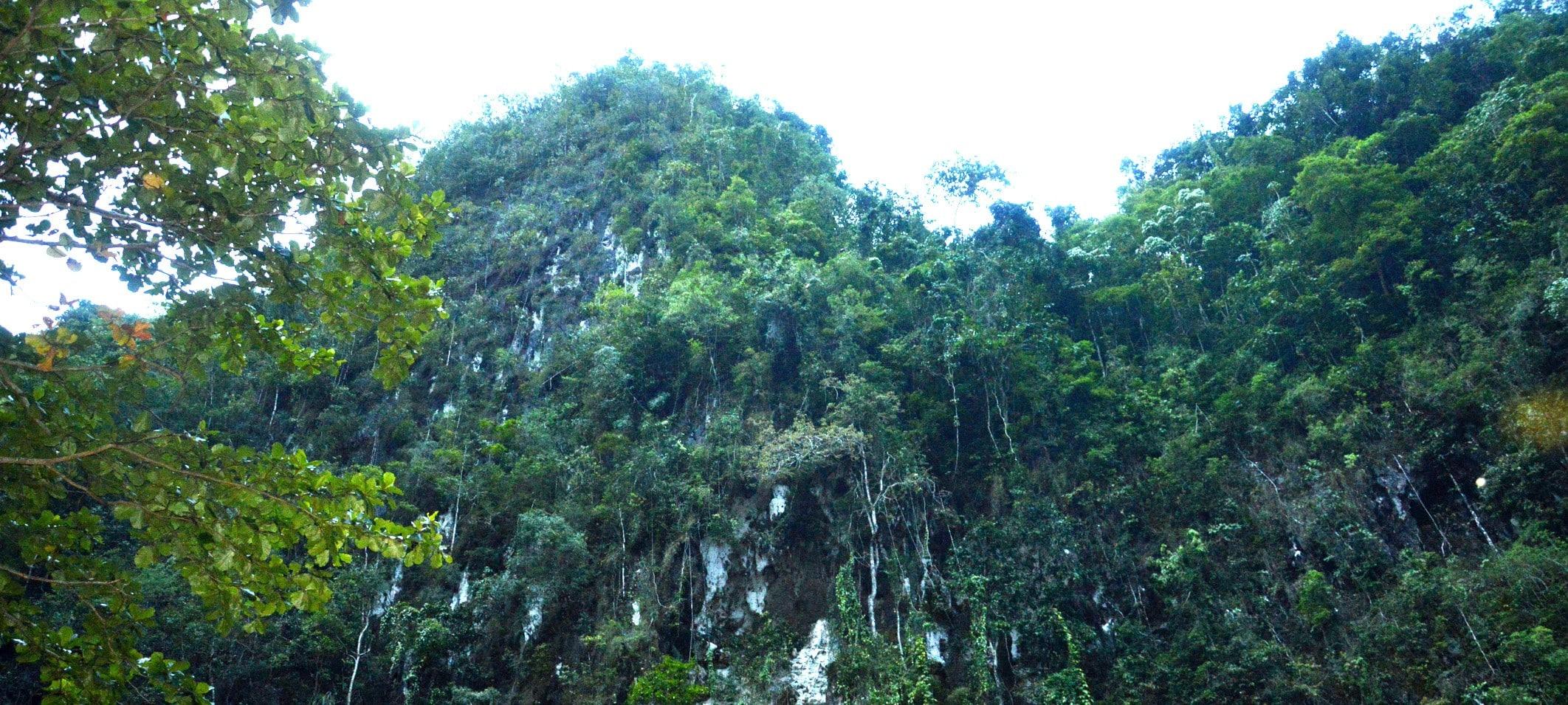 Parc national Bantimurung Bulusaurang