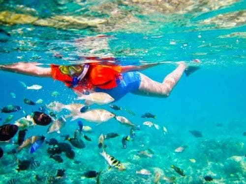 PAHAWANG 岛–浮潜员的天堂