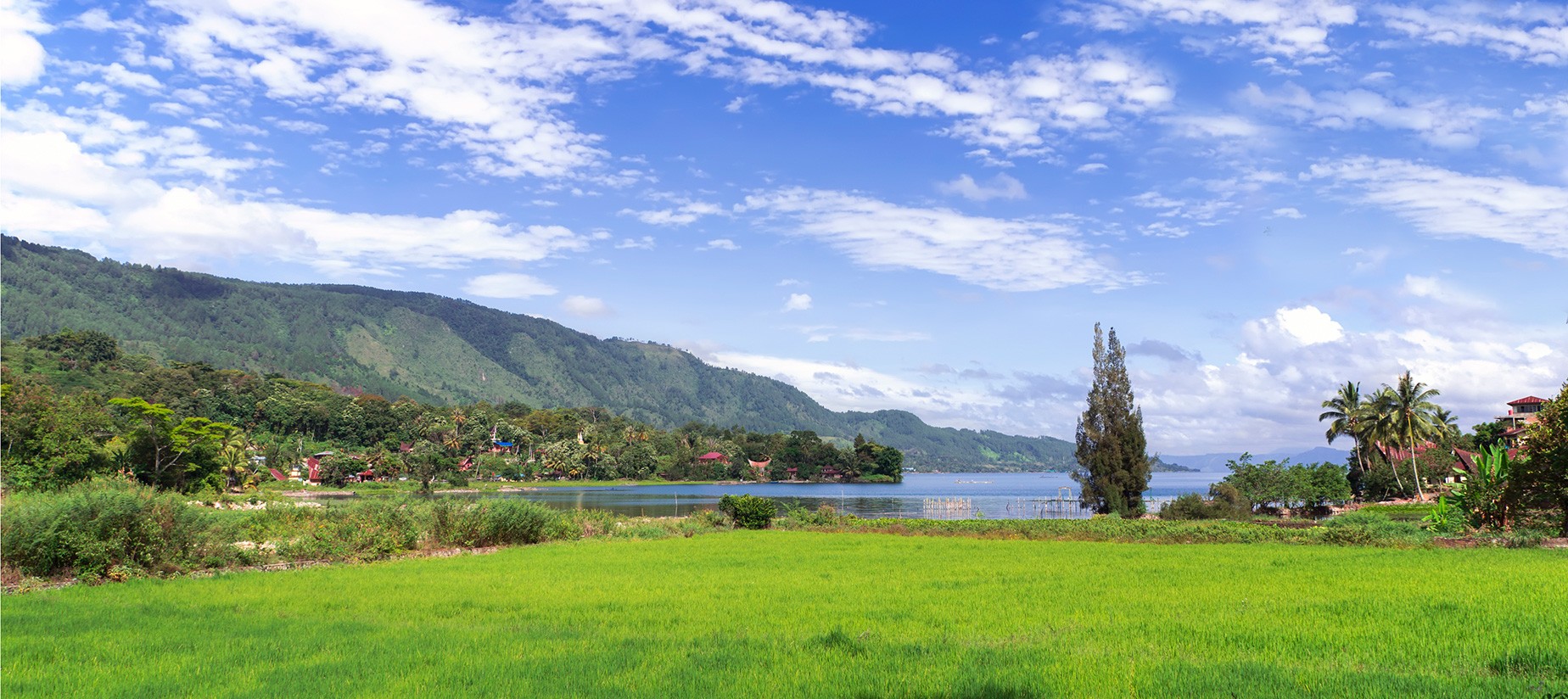 Samosir Island Splendor: Unveiling Nature's Beauty