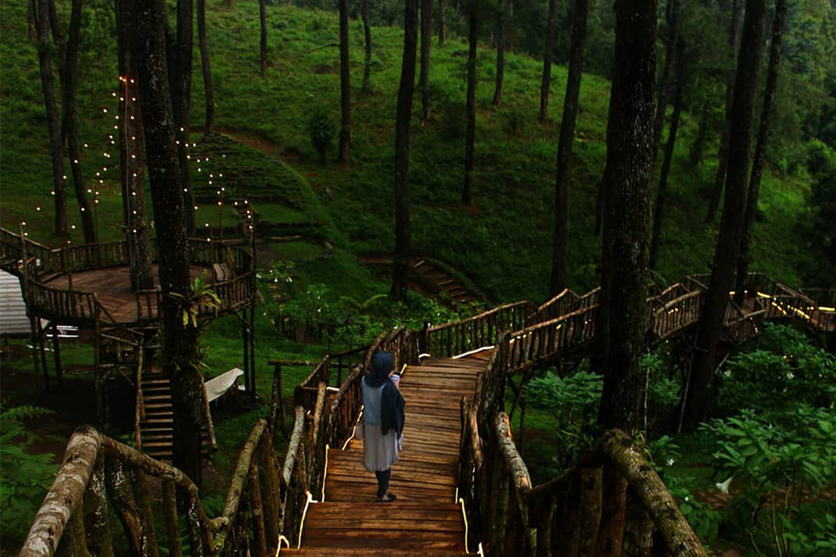 FORESTRA MUSIC FESTIVAL at Cikole Orchid Forest, Lembang : Gorgeous Music in the Forest