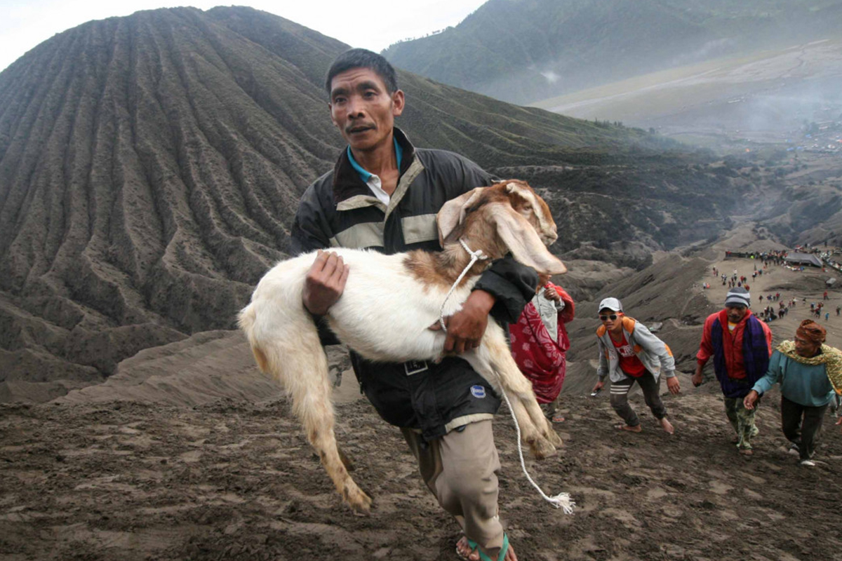 YADNYA KASADA and BROMO EXCOTICA FESTIVAL on Bewitching MT. BROMO