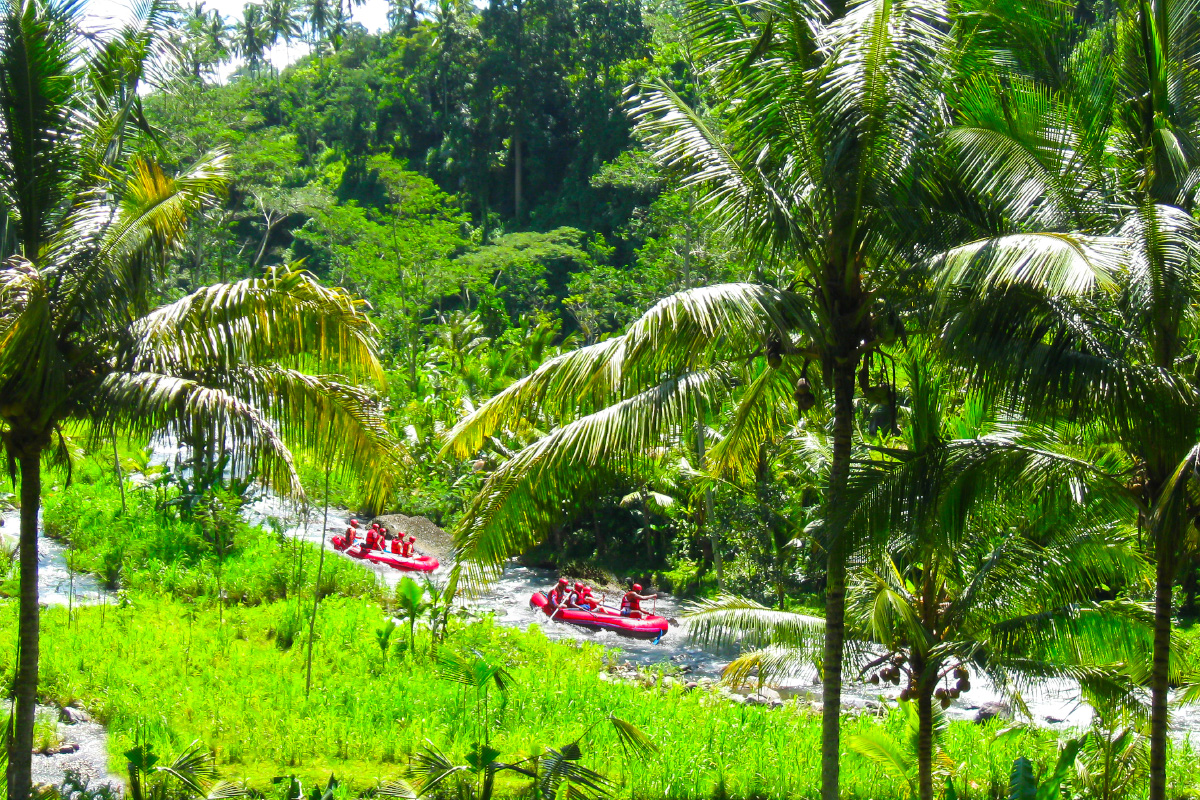 Arung Jeram Sungai Ayung, Ubud