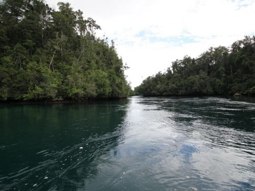 Unveiling Raja Ampat: The hype is real!