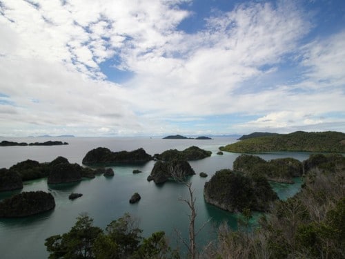 Unveiling Raja Ampat: The hype is real!