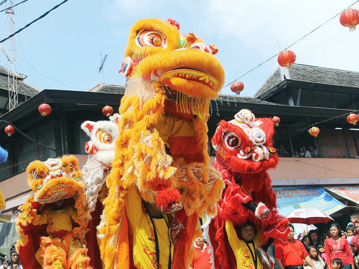 Image result for lion dance