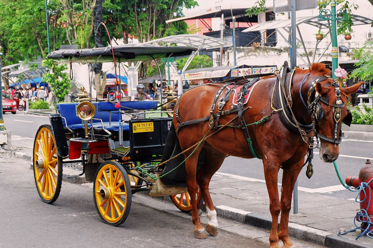 Try These Fun Ideas to Explore Yogyakarta in a Day